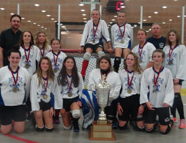 2017_20Peewee-Girls_20Champs.jpg_e7dc3a8182.jpg
