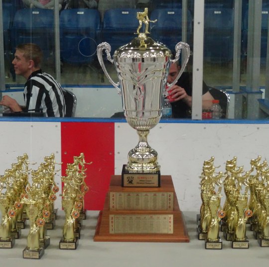 2017_minor_division_champs.jpg_fd63952a17.jpg