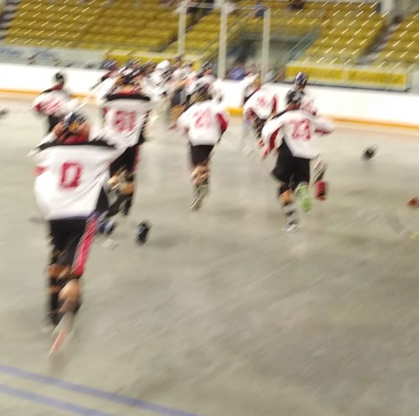 2018_20Peewee_20Prov_2016.jpg_95d7f4a84b.jpg