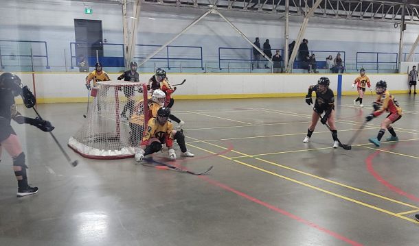 20250202_121012.jpg_f768bb5f1f.jpg