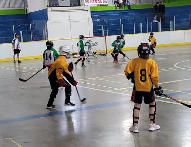 20250322_141219.JPG_96e9afac98.jpg