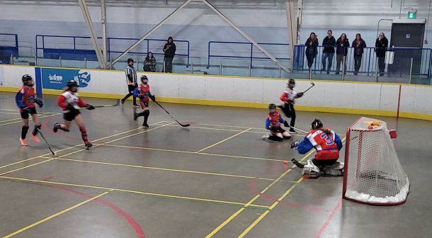 20250326_204640.JPG_c3ab67008e.jpg