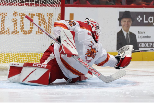Landon_20Miller8.png_042443be53.png