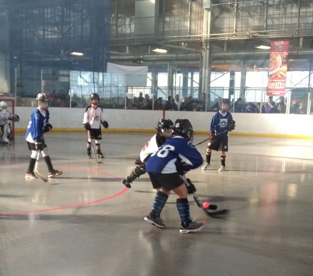 Minor_20Winter_20Provs_20-_20Novice_2012_514a78f7ae.jpg
