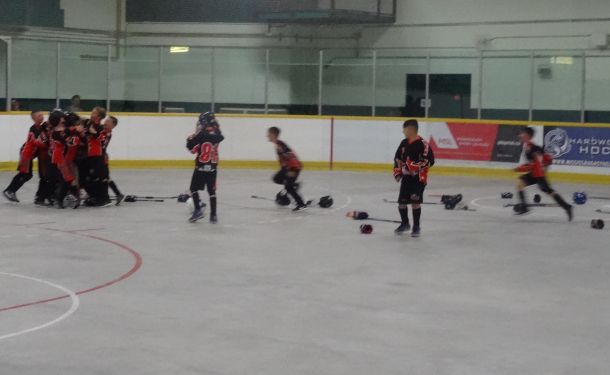 Novice_20Prov_2010.jpg_897d7b157d.jpg