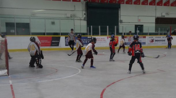 Novice_20Prov_202.jpg_025c55ca8f.jpg
