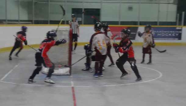 Novice_20Prov_203.jpg_84376e55c7.jpg