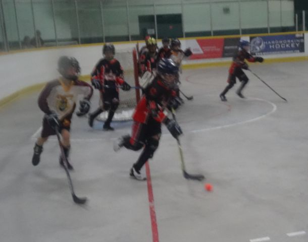 Novice_20Prov_206.jpg_4afbf89c44.jpg