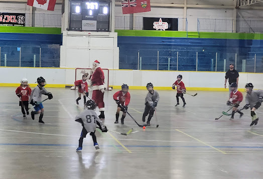 Santa9_1_.png_a92b53d667.png