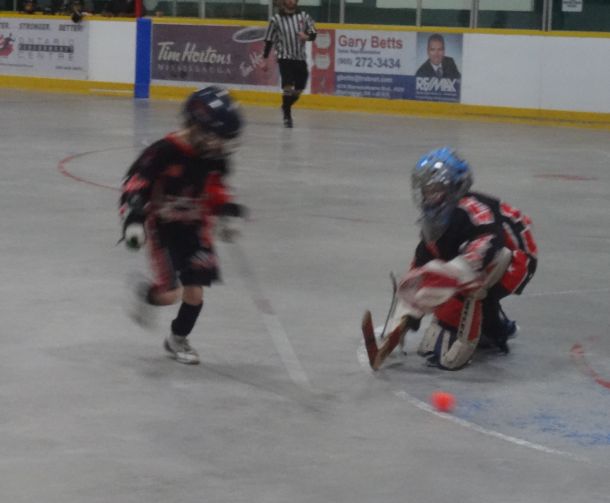 Tyke_20Prov_201.jpg_11c6482f2e.jpg