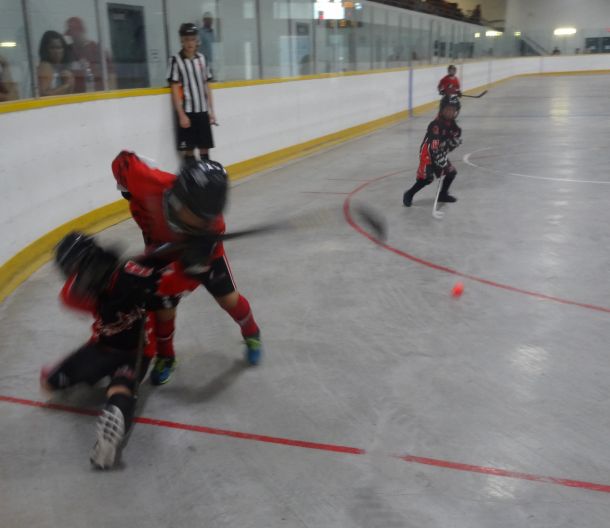 Tyke_20Prov_202.jpg_6bdf434654.jpg