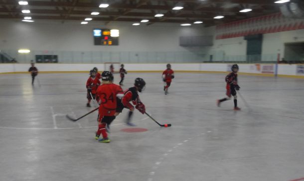 Tyke_20Prov_203.jpg_e6eda1e2a3.jpg