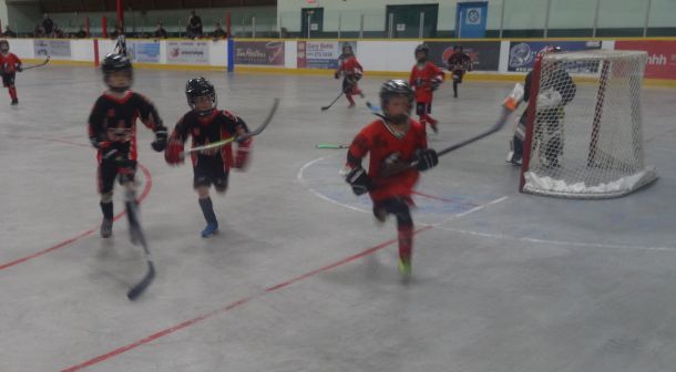 Tyke_20Prov_205.jpg_66d15254c0.jpg