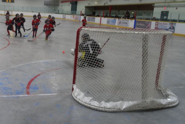 Tyke_20Prov_206.jpg_7ef1ddacd4.jpg
