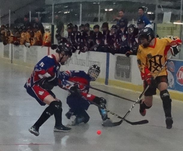 U17_202.jpg_dde8738d90.jpg