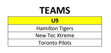 Winter_20Provs_20-_20U9_20teams.JPG_56bd6eb8bb.jpg