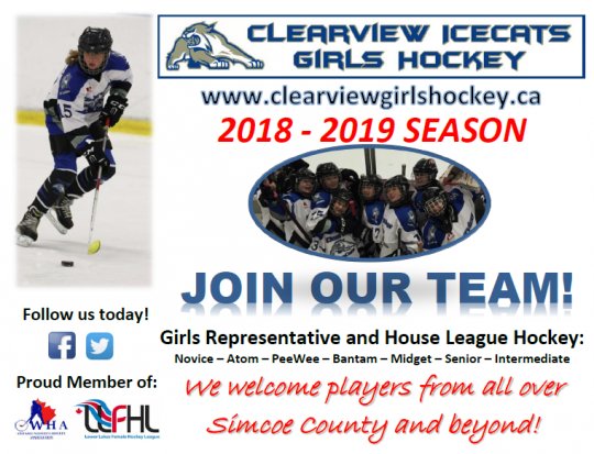 clearview_ad.png_2fbd58d09e.png
